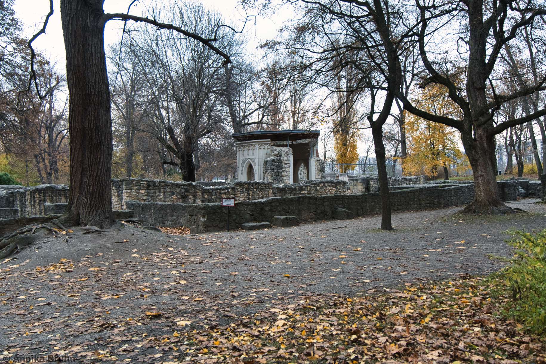 Medieval Dominican Convent and Royal Mansion